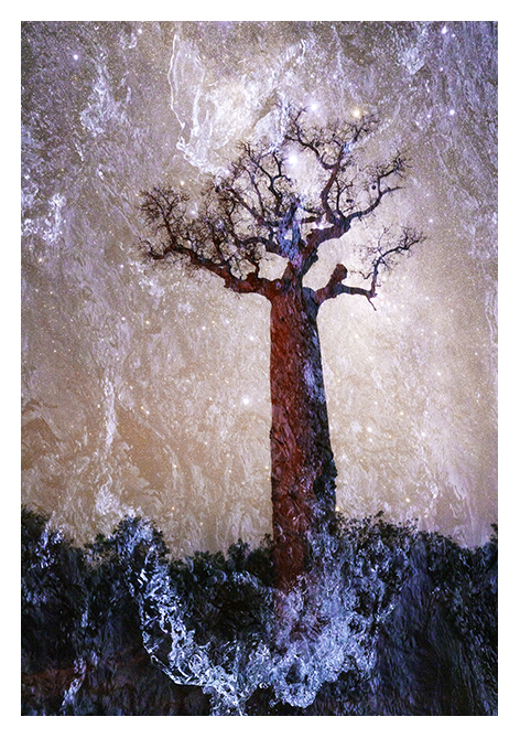 Baobabwelten 7 (RGB)